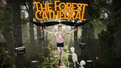 The Forest Cathedral