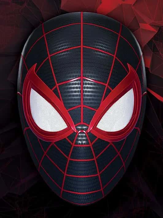 Spider-Man Miles Morales Canvas - The Mask of a Hero (40x30cm)