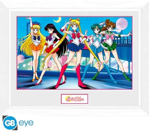 Sailor Moon Framed Print - Group (30x40cm)