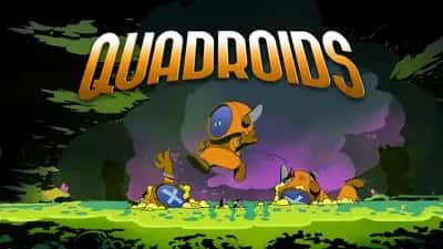 Quadroids