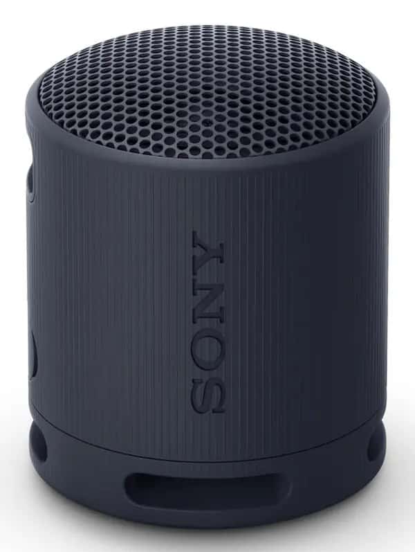 Sony SRS-XB100 Zwart